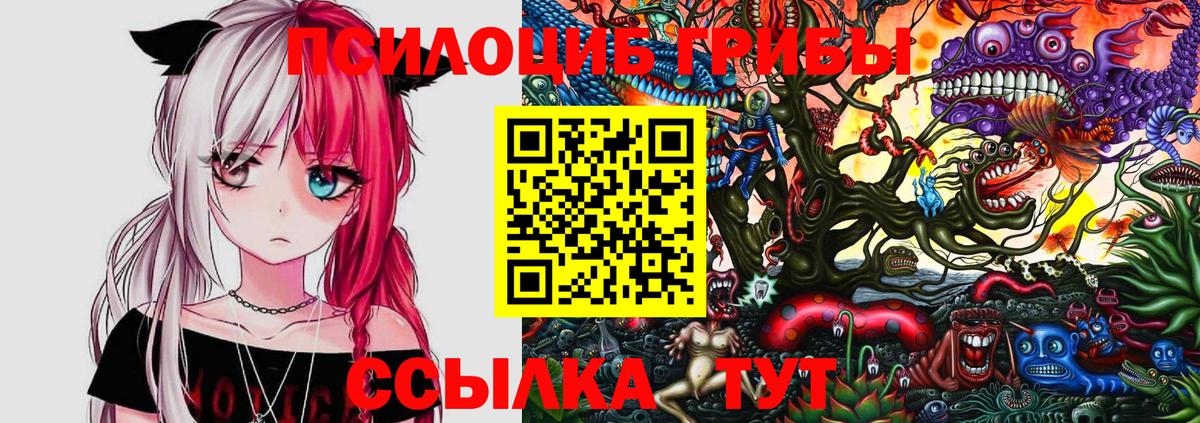 Псилоцибиновые грибы Magic Shrooms  Псилоцибиновые грибы мицелий  Торжок  Вход с VPN 