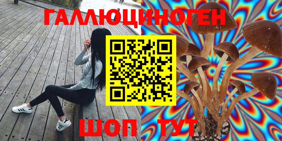 Галлюциногенные грибы Торжок