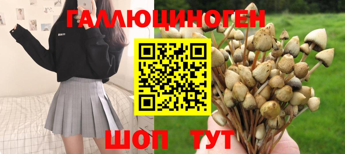 Галлюциногенные грибы Magic Shrooms Торжок