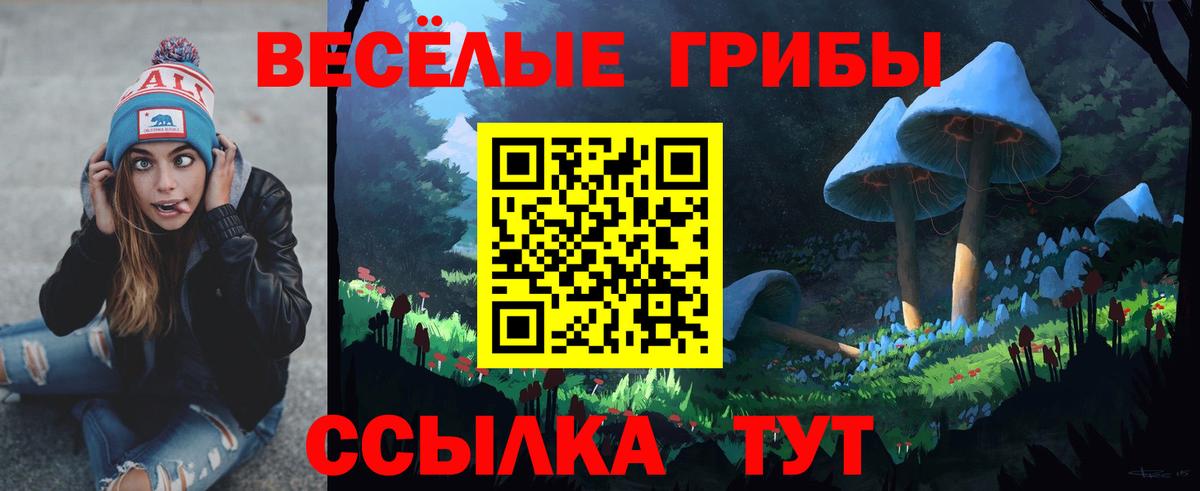 Галлюциногенные грибы мухоморы Торжок